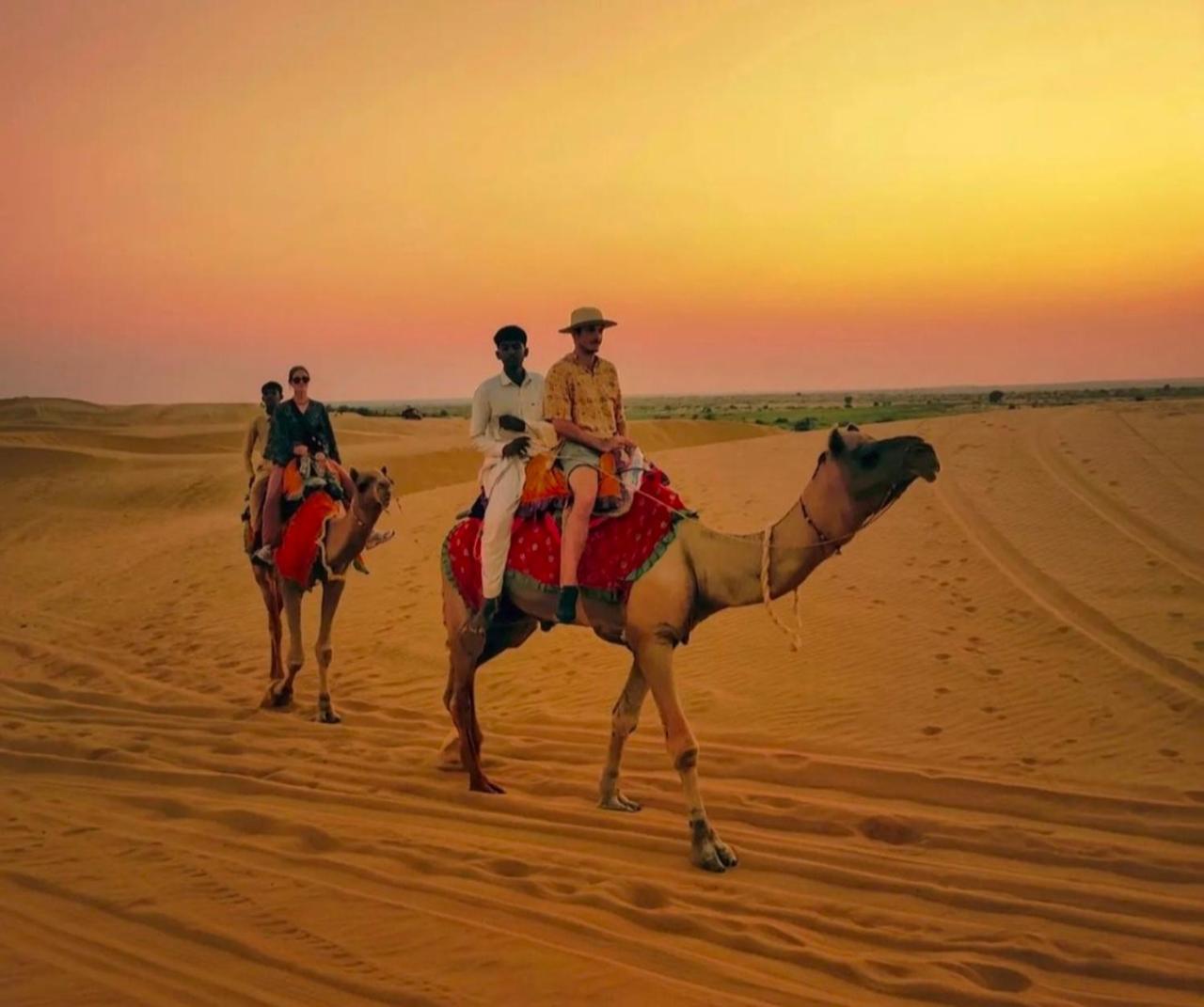 The Saffron Desert Camp Jaisalmer Eksteriør bilde